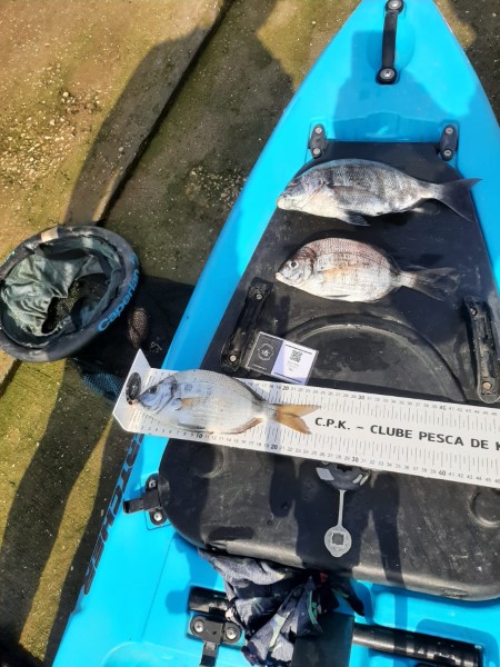 Fish Measure Picture